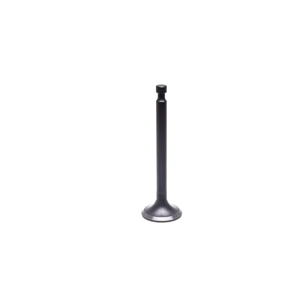 Auslassventil für Honda GX240 GX270 Zongshen Motoren (OEM 177F 14721-ZE2-000 14721ZE2000 100004553)