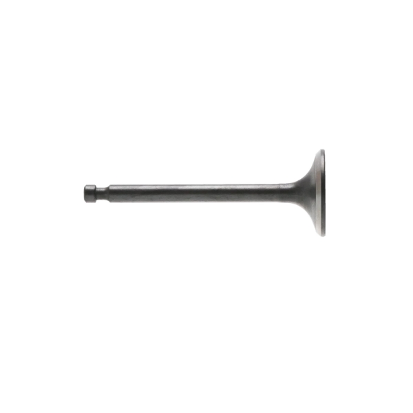 Auslassventil für Zongshen XP420 Motoren (OEM 100004556)