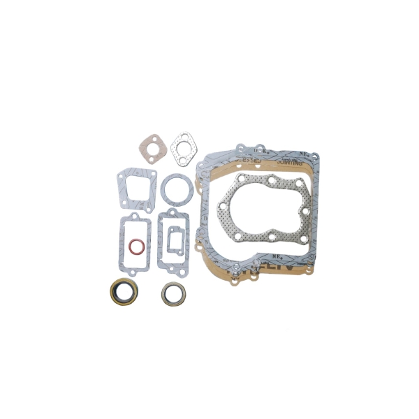 Dichtungssatz für Briggs & Stratton Classic Sprint Quattro Serie 450 500 Motoren Leistung 3,0 PS - 3,5 PS (OEM 298989)