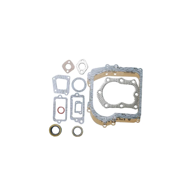 Dichtungssatz für Briggs & Stratton Classic Sprint Quattro Serie 450 500 Motoren Leistung 3,0 PS - 3,5 PS (OEM 298989)