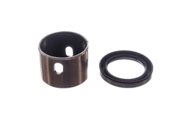 Dichtungssatz, Lader für Briggs & Stratton Motorcycles (OEM 797673)