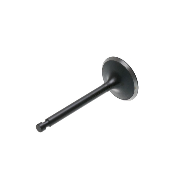 Einlassventil für Zongshen XP420 Motoren (OEM 100004534)