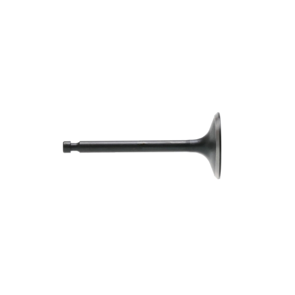 Einlassventil für Zongshen XP420 Motoren (OEM 100004534)