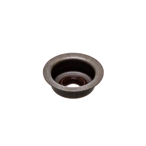 Einlassventildichtung für Honda GX120 GX160 GX200 Zongshen 168FB (OEM 12209-ZH8-003 12209ZH8003)