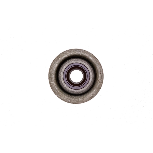 Einlassventildichtung für Honda GX120 GX160 GX200 Zongshen 168FB (OEM 12209-ZH8-003 12209ZH8003)