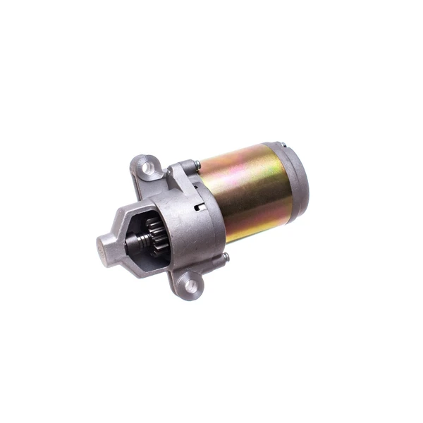 Elektrostarter für Zongshen XP420 Cub Cadet MTD Craftsman Troy-Bilt Motoren (OEM 951-12207 751-12207 751P12207A)