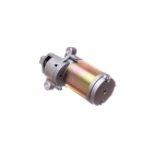 Elektrostarter für Zongshen XP420 Cub Cadet MTD Craftsman Troy-Bilt Motoren (OEM 951-12207 751-12207 751P12207A)