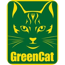 Grüne Katze