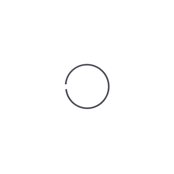 Kolbenring 48 mm x 1,2 mm