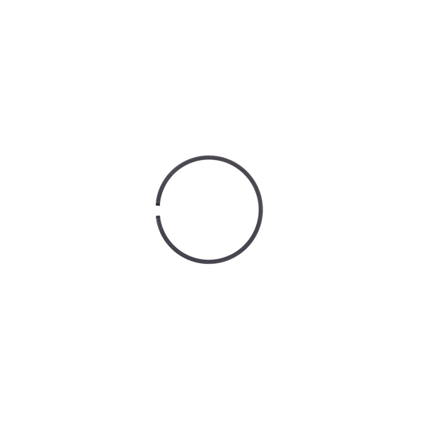 Kolbenring 48 mm x 1,5 mm