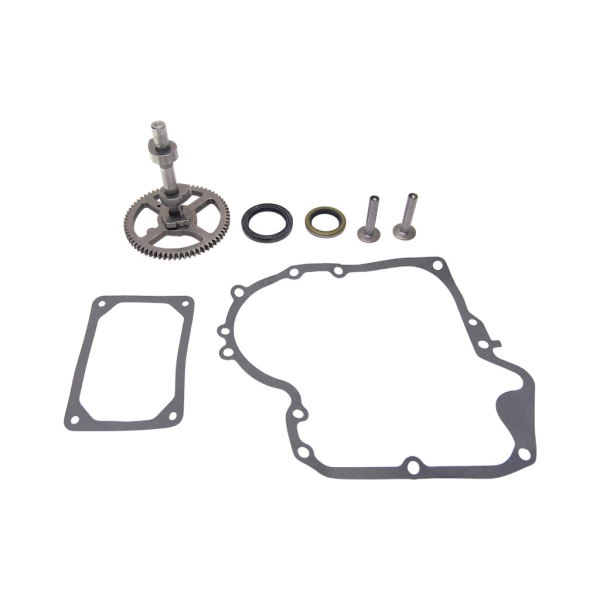 Komplette Nockenwelle für Briggs & Stratton-Motoren (OEM 494433 692421)