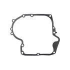 Komplette Nockenwelle für Briggs & Stratton-Motoren (OEM 494433 692421)