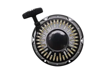 Kompletter Anlasser für Honda GX240 GX270 Motoren Leistung 8,0 PS - 9,0 PS schwarz (OEM 28400ZE2W01ZA 28400ZE2W01ZN 28400-ZE2-W01ZA 28400-ZE2-W01ZB 28400-ZE2-W01ZN) Kompletter Anlasser für Honda GX240 GX270 Motoren Leistung 8,0 PS - 9,0 PS schwarz (OEM 28400ZE2W01ZA 28400ZE2W01ZN 28400-ZE2-W01ZA 28400-ZE2-W01ZB 28400-ZE2-W01ZN)