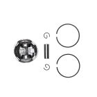 Kompletter Kolben für Freischneider Stihl FR350 FR450 FR480 FR480C FS400 FS450 FS480 SP451 SP481 44 mm (OEM 41280302002)
