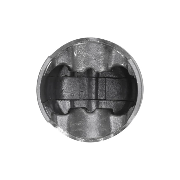 Kompletter Kolben für Freischneider Stihl FR350 FS300 SP200 FS200 FS200R FS250 FS250R 38 mm (OEM 41340302010)