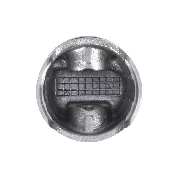 Kompletter Kolben für Freischneider Stihl FS38 FS45 FS45C FS45L FS46 MM55C SH55 SH85 HL45 FS55 FS55C FS55R FS55RC 34 mm (OEM 41400302000)
