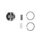 Kompletter Kolben für Kettensägen Husqvarna 365 X-TORQ 372 XP X-TORQ Jonsered CS2166 CS2172 50 mm (OEM 577207702)
