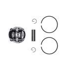 Kompletter Kolben für Kettensägen OLEO-MAC Oleo-mac 970 971 GS720 50 mm (OEM 097000205)
