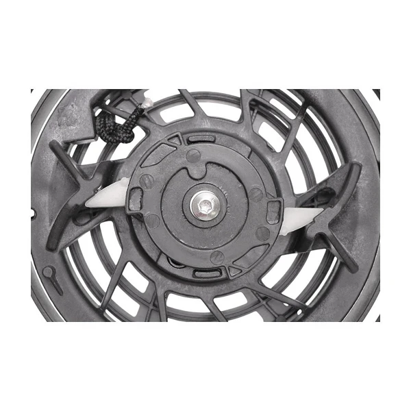 Kompletter Starter für Briggs & Stratton Motoren 796497 Cub Cadet (OEM 12AE999J CC999ES MTD CC999ES)
