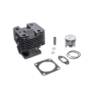 Kompletter Zylinder mit Kolben für Freischneider Stihl SP200 FS120 FS120R FS200 FS200R FS250 FS250R 38 mm (OEM 41340201212)