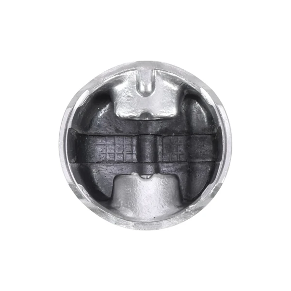 Kompletter Zylinder mit Kolben für Kettensägen Husqvarna 362XP 371XP 372XP 371K Jonsered 2063 2071 2163 2171 CS2163 CS2171 50 mm (OEM 503691073)