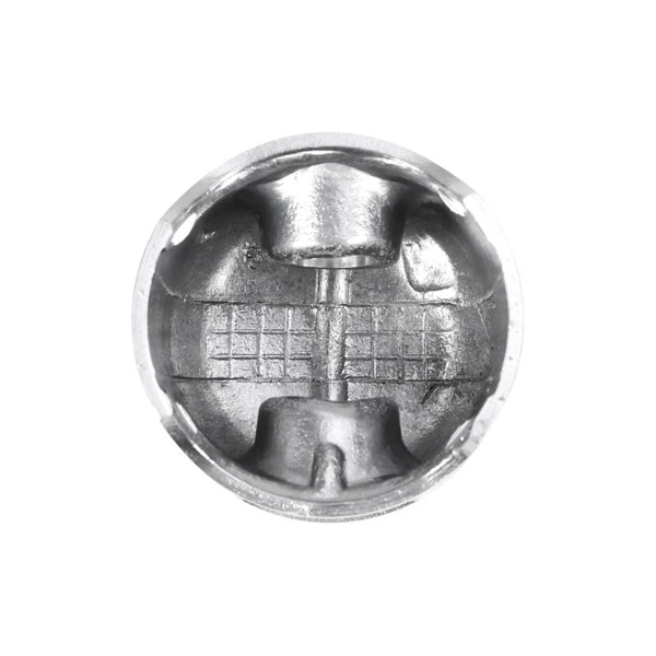 Kompletter Zylinder mit Kolben für Kettensägen und Freischneider Husqvarna 40 45 49 240R 245R Jonsered GR41 GR44 GR50 RS44 2041 2045 2050 42 mm (OEM 503440802)