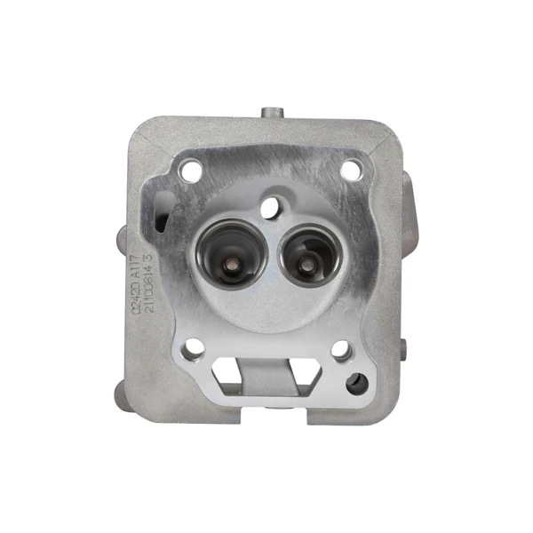 Kompletter Zylinderkopf für Zongshen XP420 Motoren (OEM 100002420)
