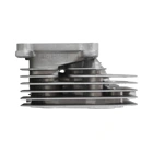 Kompletter Zylinderkopf für Zongshen XP420 Motoren (OEM 100002420)
