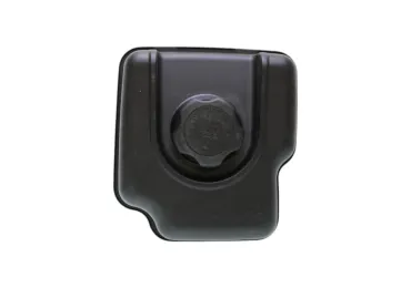 Kraftstofftank für Briggs & Stratton-Motoren (OEM 799863 695736 698110 694260)