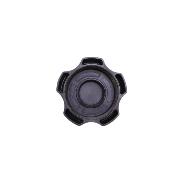 Kraftstofftank für Briggs & Stratton-Motoren (OEM 799863 695736 698110 694260)