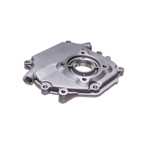 Kurbelgehäusedeckel für Honda GX160 GX200 Zongshen 168FB (OEM 11300ZE1640 11300ZE1641 11300ZE1613)