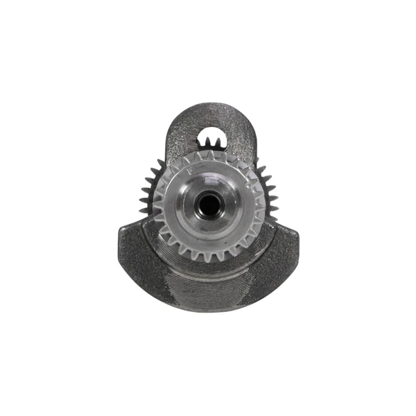 Kurbelwelle für Honda GX200 Zongshen 168F Motoren (OEM 13310ZL0600 13310ZL0600 13310ZL0890E 13310ZL0601)