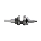 Kurbelwelle für Honda GX340 GX390 Zongshen 188F (OEM 100003872)