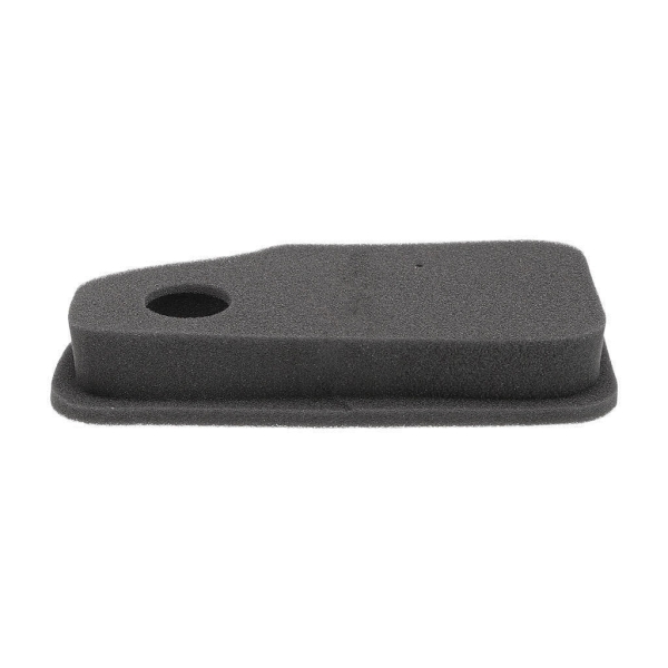 Luftfilter 242 mm x 115 mm x 38 mm für Briggs & Stratton Motoren Leistung 10,0 PS - 11,0 PS (OEM 270843 270843S 30099R 7347)