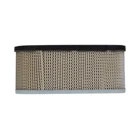 Luftfilter für Tecumseh-Motoren (OEM 36356)