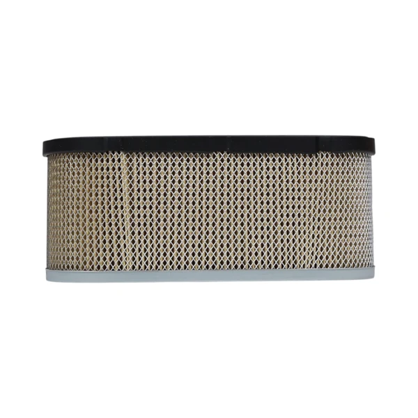 Luftfilter für Tecumseh-Motoren (OEM 36356)