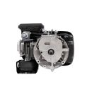 Motor Zongshen XP200A 6,5 PS Hubraum 196 ccm vertikale Welle mit schwerem Schwungrad