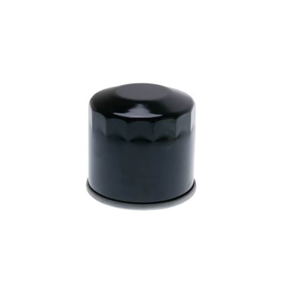 Ölfilter 53 mm x 53 mm für Honda Kubota Toro John Deere Motoren (OEM 15400ZJ1004 AM100750)