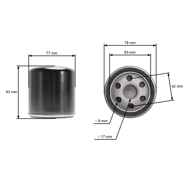 Ölfilter für Motoren und Marken Briggs & Stratton Vanguard Tecumseh Iseki Kohler Kawasaki John Deere Husqvarna (OEM 004153 4153 491056 491056S 805255)