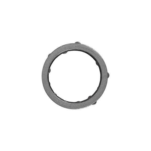 Ringkettenrad .0404
