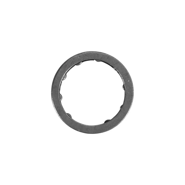 Ringkettenrad .325