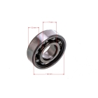 SKF Kugellager 6203-C3 17 mm x 40 mm x 12 mm für Stihl 029 039 050 051 075 076 066 038 MS290 MS310 MS390 MS660 TS400 TS510 TS700 (DIN625-6203 – 95030030440)