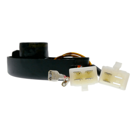 Spannungsregler 3 Phasen AVR 7 kW 680 uF 450V für Generatoren