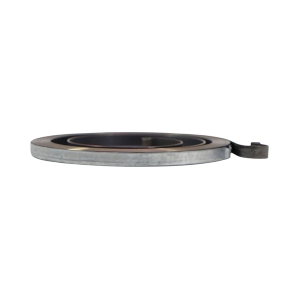 Starterfeder für Kettensägen Stihl 038 070 090 090G MS380 MS381 TS350 TS760 MS720 (OEM 11171900601)
