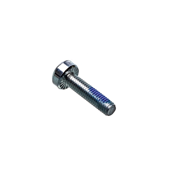 Stihl Schraube IS-M5 x 20 (OEM 90223711020)