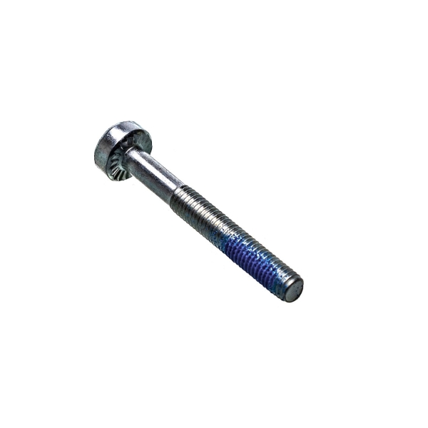 Stihl Schraube IS-M5 x 40 (OEM 90223411090)