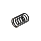 Ventilfeder für Zongshen XP420 Motoren (OEM 100004569)