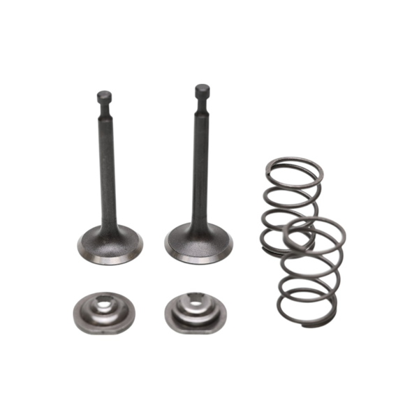 Ventilsatz für Honda GX160 GXV160 GX200 Zongshen 168F 170F Motoren