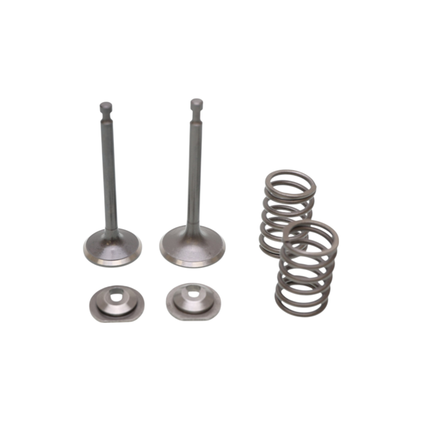 Ventilsatz für Honda GX340 GX390 Zongshen 188F Motoren