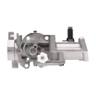 Vergaser für Briggs & Stratton Motoren 5,0 PS (OEM 498298 692784 495951 495426 490533)